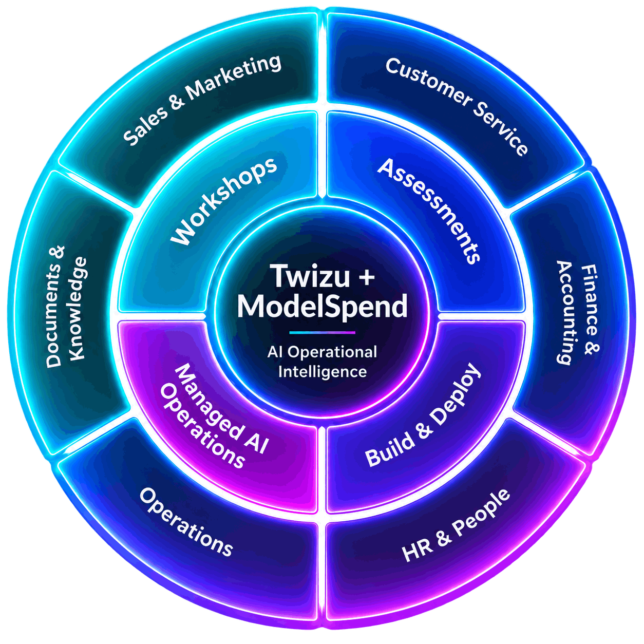 Twizu/ModelSpend AI use cases and process
